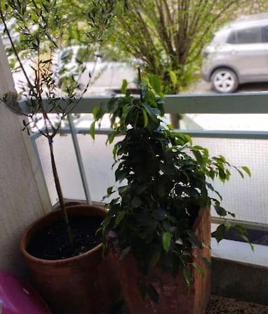 Cozy Apartment In Athens! 外观 照片